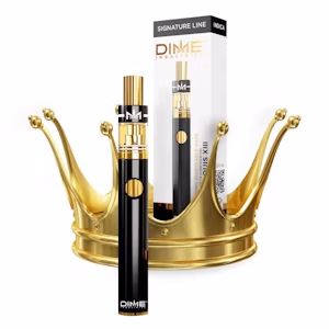 King Louis XIII